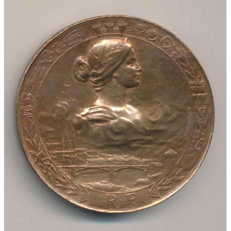Médaille - Exposition Nationale Angers - 1895 - Bronze