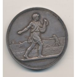 Médaille - Comice agricole - Cantons de Royan et de la Tremblade - argent