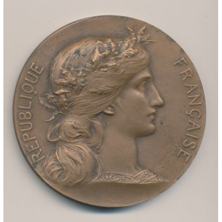 Médaille - République française - Sénateur Dumesnil - bronze