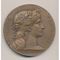 Médaille - République française - Prefet Seine inférieure - bronze - Daniel Dupuis