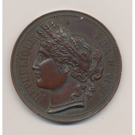 Médaille - Comice agricole de Frontenay - 1892 - bronze - A.Desaide