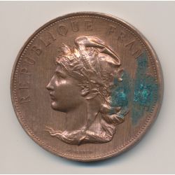 Médaille - Société d'agriculture des deux sèvres - bronze - F.Vernon