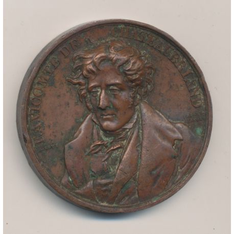 Médaille - Chateaubriand - cuivre