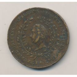 Médaille - Mort de Ferdinand philippe Duc d'Orléans - 1842 - cuivre
