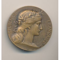 Médaille - Ville de Bordeaux - République Française - bronze - H.Dubois 