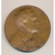 Médaille - Victor Hugo - uniface/repoussé - bronze - A.Borrel