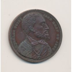 Médaille - Charles Quint - 1500-1558 - bronze - 34mm