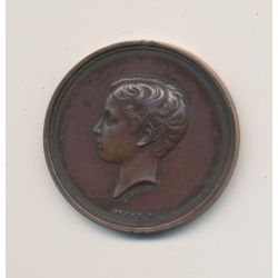 Médaille - Napoléon IV - Société du prince impérial - 1862 - bronze - 27mm - TTB+