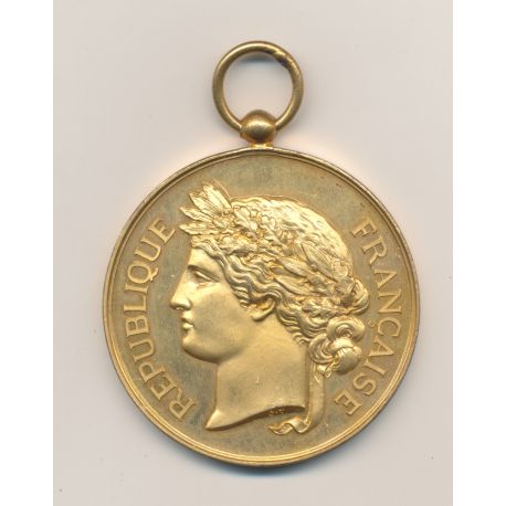 Médaille - Société Nationale du tir des communes de France - médaille d'honneur - bronze doré - 51mm - SUP+