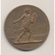 Médaille - Comice agricole de La Rochelle - J.Lagrange - bronze - 51mm - SUP