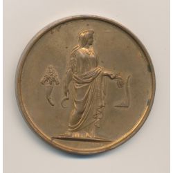 Médaille - Comité central de Sologne - Concours de béliers - 1898 - bronze - 51mm - TTB+
