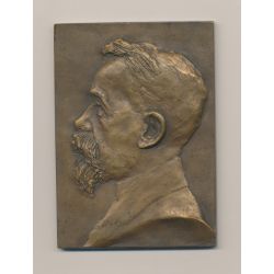 Plaquette - Samuel Gout - 1861-1924 - bronze - TTB