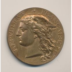 Médaille - Comice agricole des 2 Cantons de St Maixent - deux sèvres - 1901 - bronze - 52mm - H.Ponscarme - TTB+