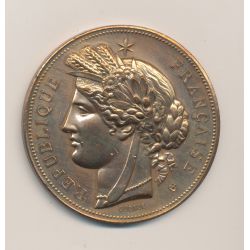 Médaille - Lice Chansonnière - 1888 - bronze - Oudiné - TTB - 51mm