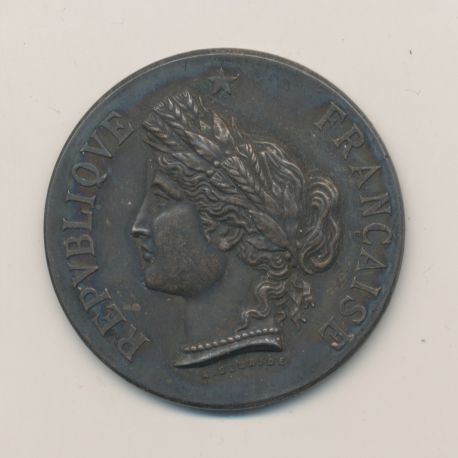 Médaille - Exposition horticole et florale - Angoulême 1885 - argent - 37mm - TTB