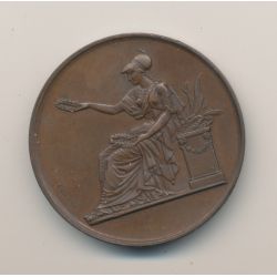 Médaille - Institution - 1874 - bronze - 37mm - TTB+