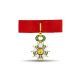 Légion d'honneur - Commandeur - Taille ordonnance