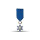 Ordre national du mérite - Chevalier - Taille ordonnance