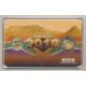 5 Rand + Médaille Nelspruit  Botanic gardens - Coffret Coupe du monde Afrique du Sud 2010