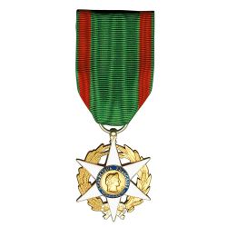 Ordre du Mérite agricole - Chevalier - Taille ordonnance