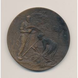 Médaille - Comice agricole La Rochelle - Concours de Saint martin de ré 1902 - bronze - 50mm