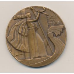 Médaille - Offert par le Conseil municipal Paris - bronze - 51mm