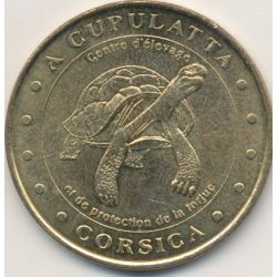 Dept20 - A cupulatta - tortue - 2000