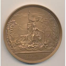Médaille - Le comité de salut public - Bicentenaire de la révolution Française - bronze - 77mm - 1987 - SUP