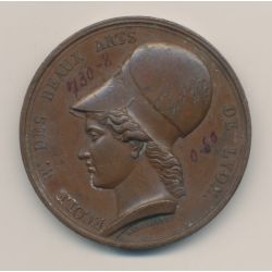 Médaille - École beaux-arts - Lyon - bronze - 41mm - TTB