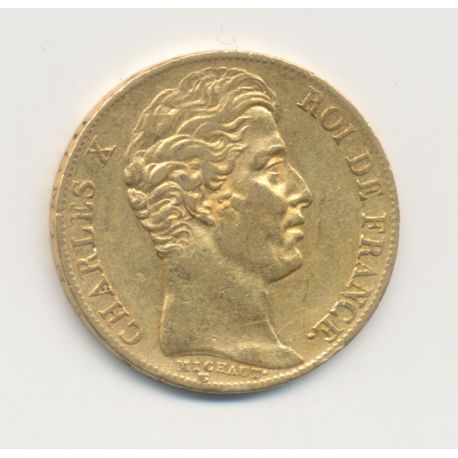 Charles X - 20 Francs Or - 1828 A Paris - TTB