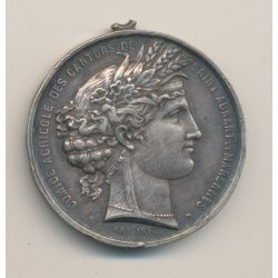 Médaille - Comice agricole - St autant et marennes - 1880 - argent - TTB