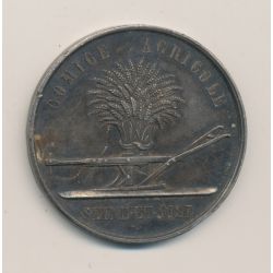 Médaille - Comice agricole - Seine et oise - argent 45g - 44mm - TTB