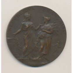 Médaille - Concours général agricole de Paris - membre du jury - bronze - 50mm - TTB