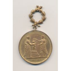 Médaille - Concours hygiène de l'enfance - Paris 1894 - cuivre doré - SUP