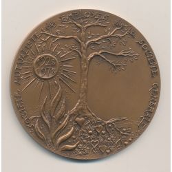 Médaille - Société mutualiste des employés de la société générale - 1978 - bronze - 59mm - SUP