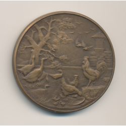 Médaille - Société aviculture Bourges - 1911 - bronze - 37mm - TTB