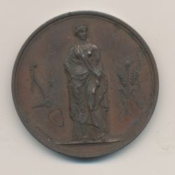 Médaille - Comice agricole de Lesparre - 1849 - culture du murier - cuivre - 41mm - TTB