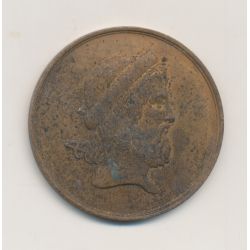 Médaille - Société de médecine - 9e arrondissement de paris - bronze - 34mm