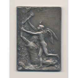 Plaquette - Exposition Universelle Paris 1900 - bronze argenté - Oscar Roty - SUP