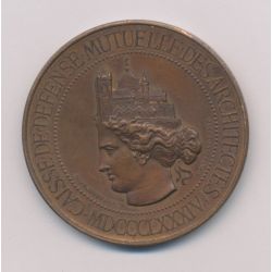 Médaille - Caisse défense mutuelle architecte - 1884 - bronze 45mm - TTB