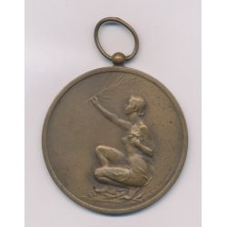 Médaille - Union nationale des anciens des armées d'occupation - 1930-1955 - bronze 51mm - TTB