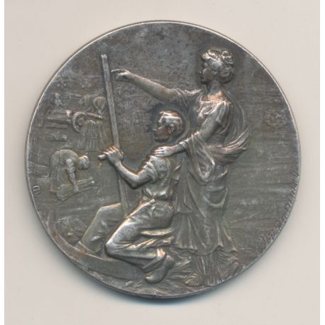 Médaille - Direction de l'agriculture du commerce et de la colonisation - argent 46g - TTB