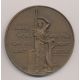 Médaille - Anciens combattants et victimes de guerre - Mère voici vos fils qui se sont tant battus - 1974 - avec écrin - bronze 