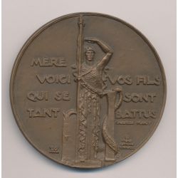 Médaille - Anciens combattants et victimes de guerre - Mère voici vos fils qui se sont tant battus - 1974 - avec écrin - bronze 