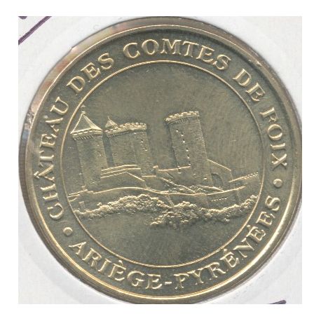 Dept09 - château des comtes de foix - 2006M