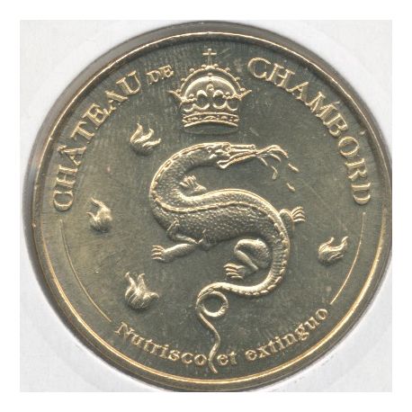 Dept41 - Chateau de Chambord N°6 - 2011 - salamandre