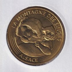 Dept67 - la montagne des singes - 2017 - mère et bébé singe  - Kintzheim