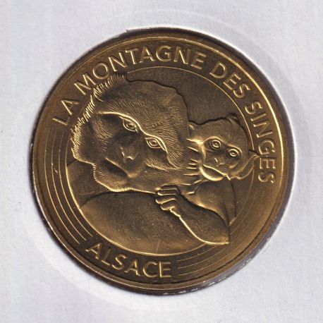Dept67 - la montagne des singes - 2017 - mère et bébé singe  - Kintzheim