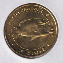 Dept29 - Océanopolis Poisson Napoléon - 2018 - Brest