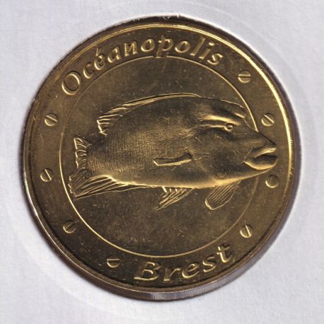 Dept29 - Océanopolis Poisson Napoléon - 2018 - Brest